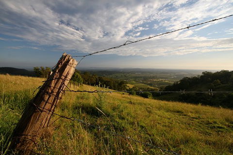Private Full-Day Wine Tour In Hunter Valley - Mackay Tourism 3
