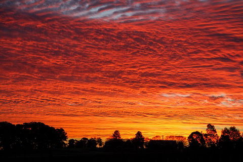 Private Full-Day Wine Tour In Hunter Valley - Mackay Tourism 0