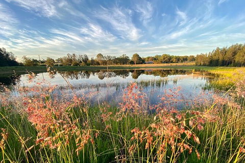 Private Full-Day Wine Tour In Hunter Valley - Mackay Tourism 5