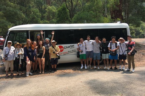 Private 13 Seat Mini Bus CBD To Sydney Airport Transfer - Mackay Tourism 4