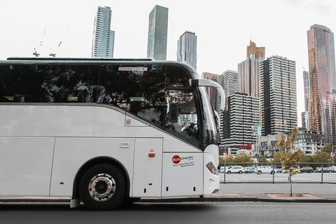 Private 13 Seat Mini Bus Sydney CBD To BankWest Stadium Transfer - Mackay Tourism 1