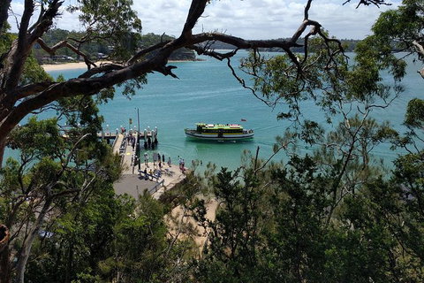 Small-Group Bike And Hike Adventure In Bundeena - Mackay Tourism 3