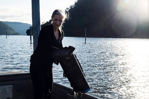 Oyster Farm Tour- Hawkesbury River (1hr North Of Sydney). - Mackay Tourism 1