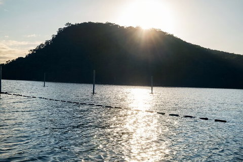 Oyster Farm Tour- Hawkesbury River (1hr North Of Sydney). - Mackay Tourism 4