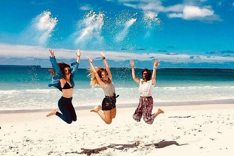 Jervis Bay One Day Tour - Mackay Tourism 0