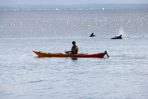Half-Day Jervis Bay Sea Kayak Tour - Mackay Tourism 4