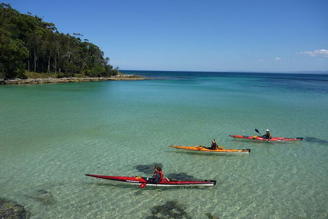 Half-Day Jervis Bay Sea Kayak Tour - Mackay Tourism 3