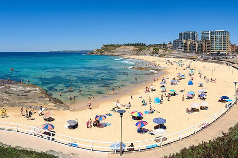 Newcastle Scenic Explorer - 2 Hour Tour By Minibus - Mackay Tourism 16
