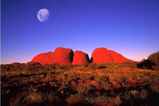 Erldunda NT Mackay Tourism