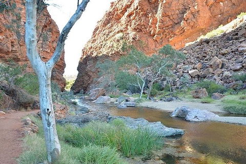 Alice Springs, Uluru Ayers Rock & Kings Canyon 8 Days Touring Package - Mackay Tourism 2