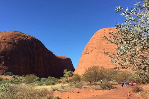 5-Hour Kata Tjuta Sunrise Tour From Ayers Rock With Breakfast - Mackay Tourism 2