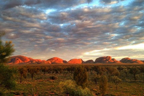 5-Hour Kata Tjuta Sunrise Tour From Ayers Rock With Breakfast - Mackay Tourism 0