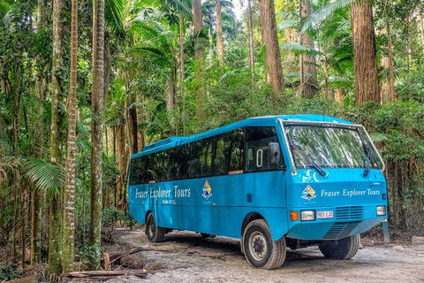 All-Inclusive Fraser Island Day Tour - Mackay Tourism 0