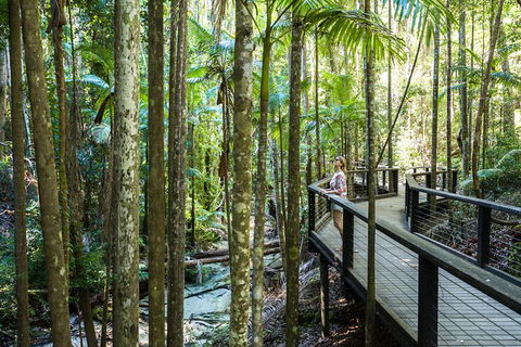 All-Inclusive Fraser Island Day Tour - Mackay Tourism 7