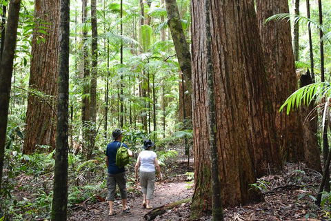 All-Inclusive Fraser Island Day Tour - Mackay Tourism 6