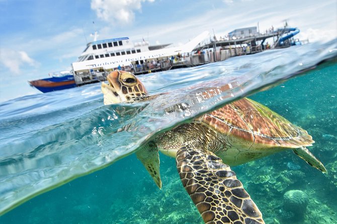 Cairns QLD Mackay Tourism