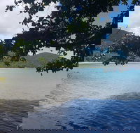 Full Day Tour in the Daintree - Mackay Tourism