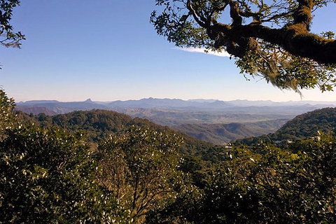 Gold Coast Lamington National Park And Tamborine Mountain 4WD Ecotour - Mackay Tourism 6