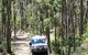 Gold Coast Lamington National Park And Tamborine Mountain 4WD Ecotour - thumb 1