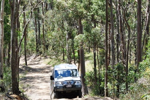 Gold Coast Lamington National Park And Tamborine Mountain 4WD Ecotour - Mackay Tourism 1