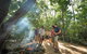 Aboriginal Cultural Daintree Rainforest Tour From Cairns Or Port Douglas - thumb 3