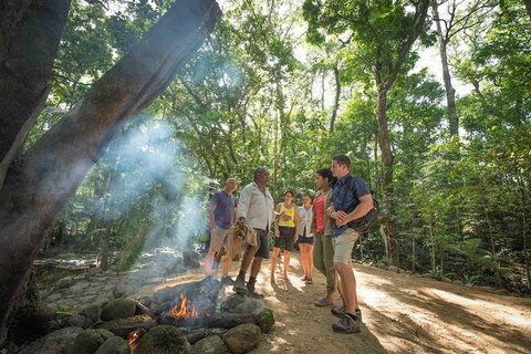 Aboriginal Cultural Daintree Rainforest Tour From Cairns Or Port Douglas - Mackay Tourism 3