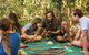 Aboriginal Cultural Daintree Rainforest Tour From Cairns Or Port Douglas - thumb 7