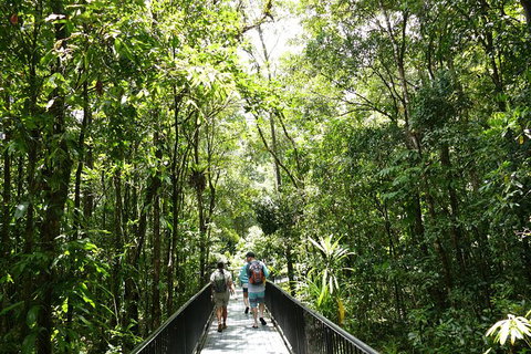 Aboriginal Cultural Daintree Rainforest Tour From Cairns Or Port Douglas - Mackay Tourism 4