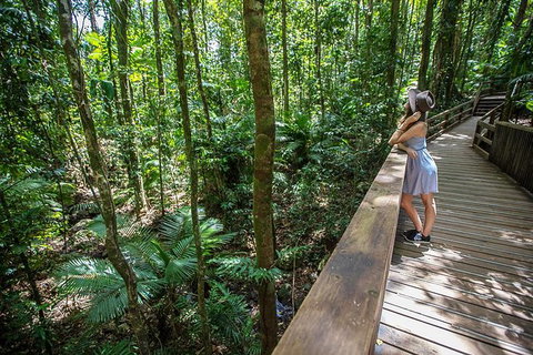Daintree Rainforest, Cape Tribulation And Bloomfield Track Small Group Tour - Mackay Tourism 3