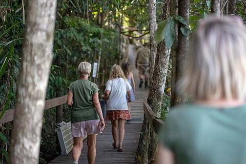 Daintree Rainforest, Cape Tribulation And Bloomfield Track Small Group Tour - Mackay Tourism 15