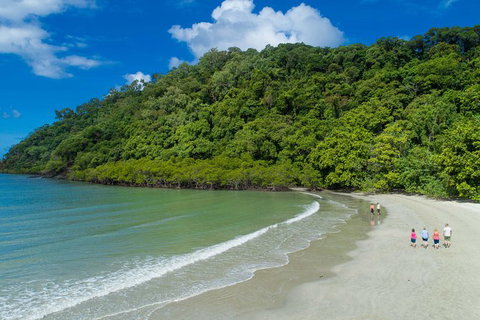 Daintree Rainforest, Cape Tribulation And Bloomfield Track Small Group Tour - Mackay Tourism 2