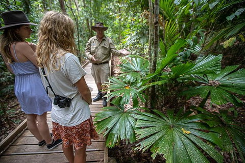 Daintree Rainforest, Cape Tribulation And Bloomfield Track Small Group Tour - Mackay Tourism 12