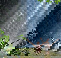 Atherton Tablelands Waterfalls Tour from Cairns - Mackay Tourism