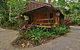 2-Day Cape Tribulation And Daintree Rainforest Tour From Cairns /Port Douglas - thumb 3