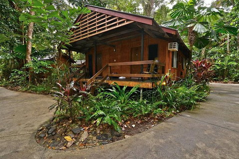 2-Day Cape Tribulation And Daintree Rainforest Tour From Cairns /Port Douglas - Mackay Tourism 3