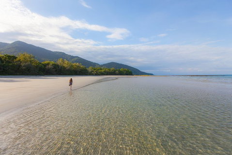 2-Day Cape Tribulation And Daintree Rainforest Tour From Cairns /Port Douglas - Mackay Tourism 7