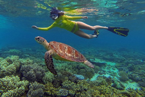 2-Day Cape Tribulation And Daintree Rainforest Tour From Cairns /Port Douglas - Mackay Tourism 4