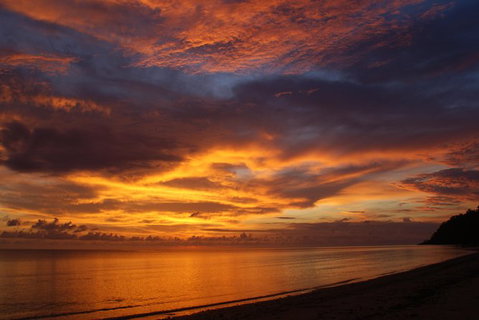 2-Day Cape Tribulation And Daintree Rainforest Tour From Cairns /Port Douglas - Mackay Tourism 2