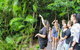 2-Day Cape Tribulation And Daintree Rainforest Tour From Cairns /Port Douglas - thumb 5