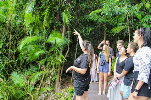 2-Day Cape Tribulation And Daintree Rainforest Tour From Cairns /Port Douglas - Mackay Tourism 5