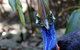 2-Day Cape Tribulation And Daintree Rainforest Tour From Cairns /Port Douglas - thumb 8