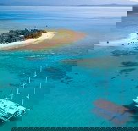 Wavedancer Low Isles Great Barrier Reef Sailing Cruise from Cairns - Mackay Tourism