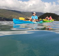 Kayak Turtle Tour from Palm Cove - Mackay Tourism