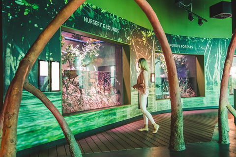 Cairns Aquarium Admission Ticket - Mackay Tourism 5