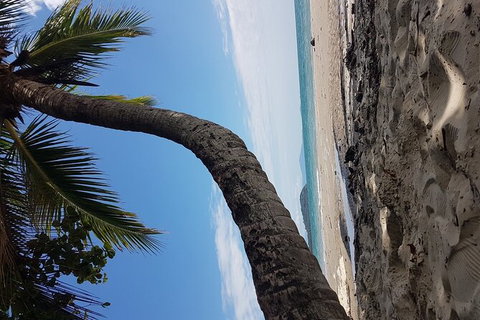 Airport Transfers Between Cairns Airport And Cairns City - Mackay Tourism 4