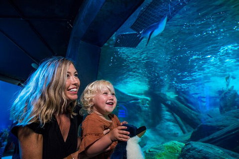 SEA LIFE Sunshine Coast Aquarium Entrance Ticket - Mackay Tourism 4