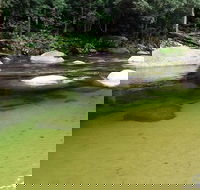Afternoon Half-Day Daintree Rainforest and River Tour - Mackay Tourism