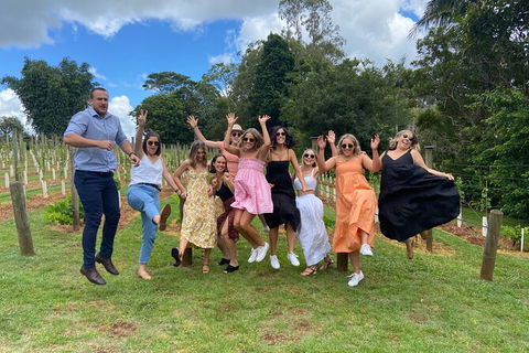 Deluxe Wine Tasting Tour Mt Tamborine Includes 2 Course Lunch - Mackay Tourism 11