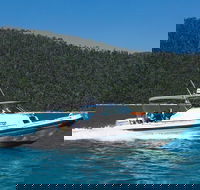 Private Standard Charter Experience in Whitsundays - Mackay Tourism
