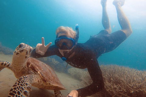 Great Keppel Island Day Trip Bundle From Yeppoon - Mackay Tourism 5